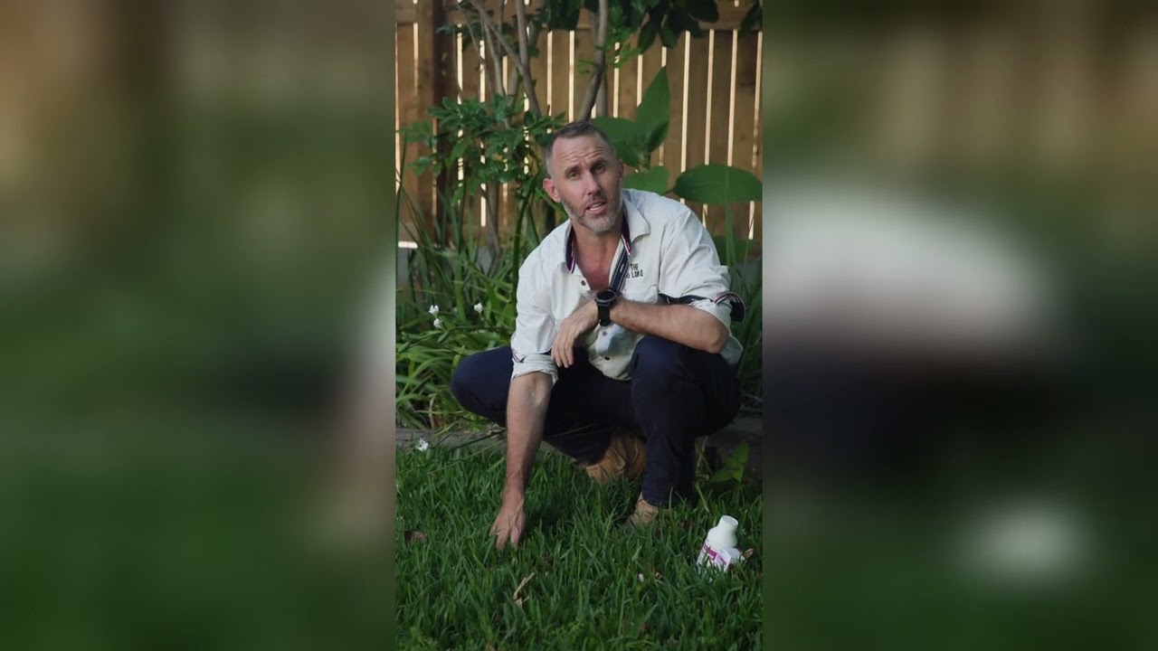 Fungus Identification & Treatment