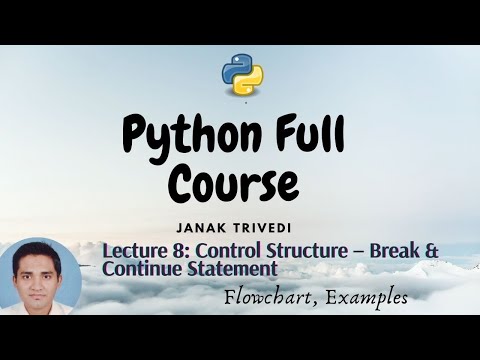 Lecture 8 Control Flow Break Continue Python Programming Theory