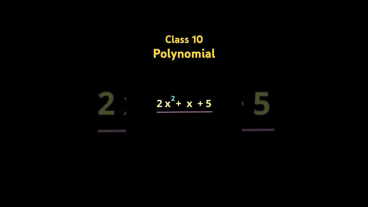 What is a Polynomial? | Easy Explanation for Class 9 & 10 Maths | Algebra Basics