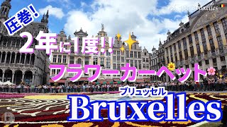 パリ発ユーロスターで行くブリュッセル絶景旅🌸🚄