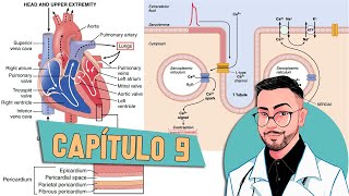 Fisiologia - O Coração Como Bomba (Capítulo 9) │ Guyton