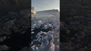 TAYLOR SWIFT.  SHAKE IT OFF.