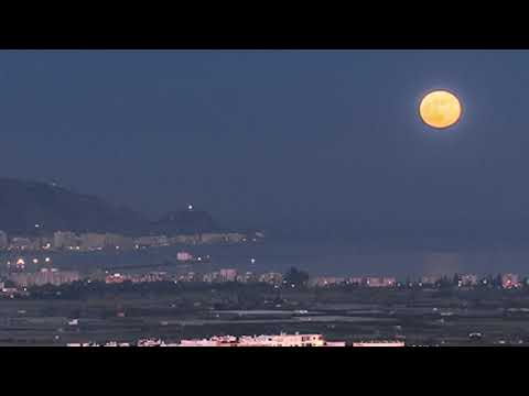 Shabu - Luna de agosto / 4 Rico