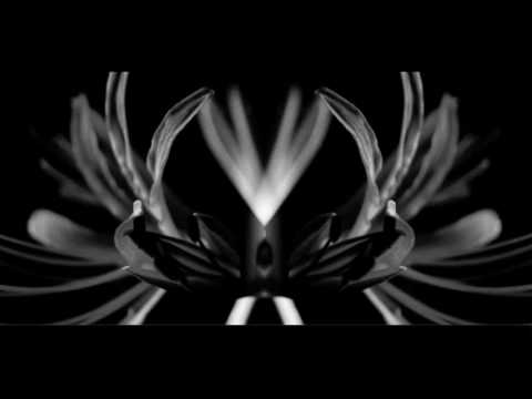 Jauzas The Shining - Get Away |Shipwrec|