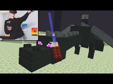 So I trolled a Streamer that was using Minecraft VR...