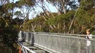 preview picture of video 'treetop walk,valley of the giants west australie'