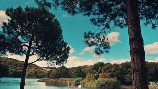 Selçuk Balcı - Ayrılamam ( 2017)