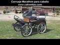Marathon Para Caballo Www Catventas Com