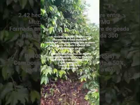 Sítio com 2.42 hectares em Muzambinho/MG