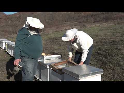 Boja meda ep. 94 24.12.2019. NAJAVA