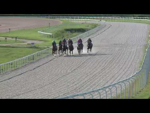 2022.09.10. 08. futam - TÁPIÓSZENTMÁRTONI HENDIKEP (III.o.) (szintetikus pálya)