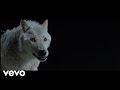 The Kills - Siberian Nights (Official Video)