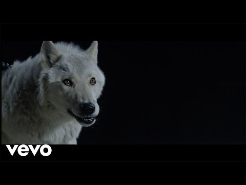 The Kills「Siberian Nights」 - iLOUD - ロック＆クラブ・ウェブマガジン