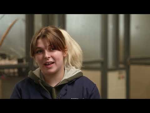Codie Hassall - Level 3 Extended Diploma in Animal Management