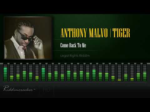 Anthony Malvo & Tiger - Come Back To Me (Legal Rights Riddim) [HD]