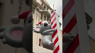 Melbourne 🐨Christmas 🎄#melbourne #メルボルン