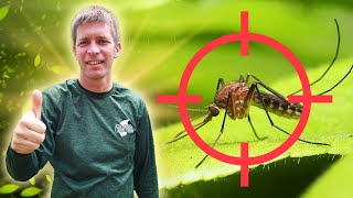 Eco Friendly Mosquito Control Strategy