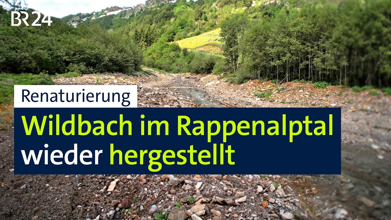 Renaturierung: Wildbach im Rappenalptal wieder hergestellt | BR24