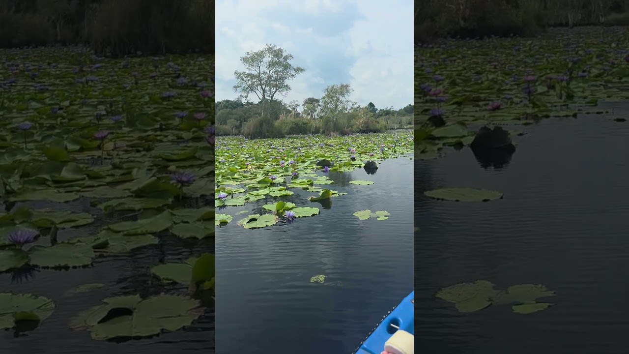 สวนพฤกษศาสตร์ระยอง #shots