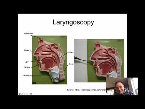 Linguistics 341 - Intro Phonetics - The Dimensions of Articulation, part 1