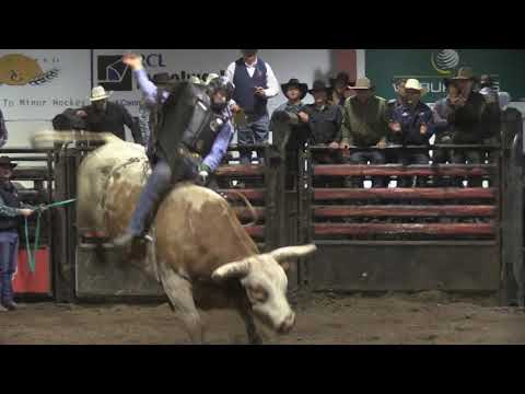 Jared Parsonage Wins Picture Butte CPRA Bull Riding 2019 with 90.5 points