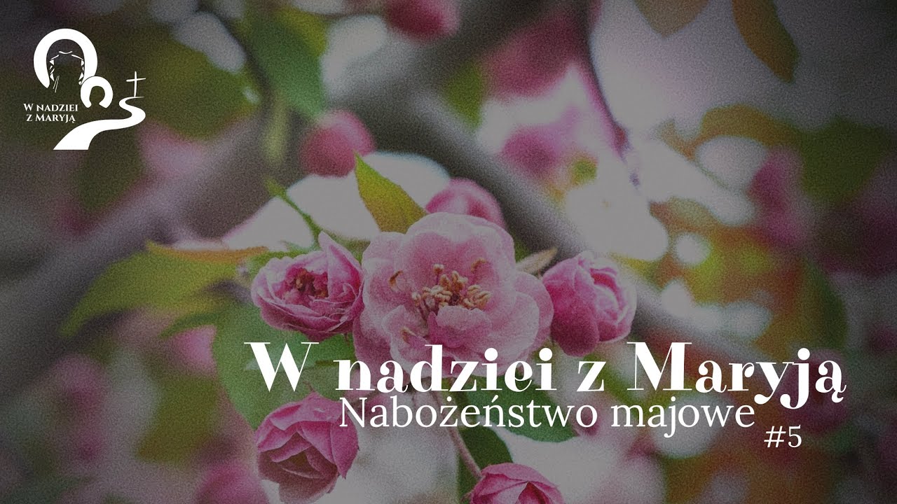 2351. "Królowo ognisk rodzinnych"