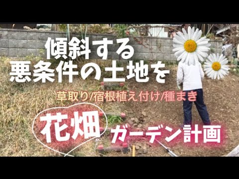 jardin en pente piscine-terrasse-cactus-herbes-décoratives