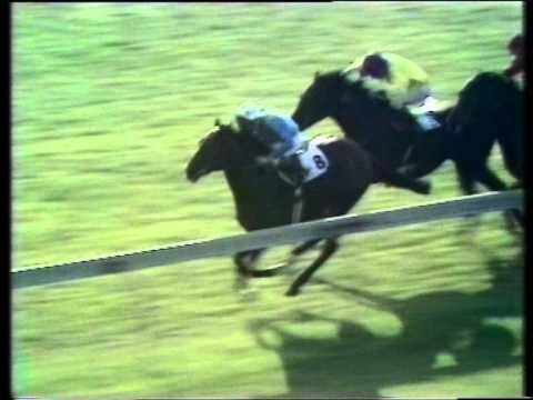 1977 William Hill Dewhurst Stakes