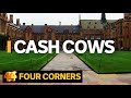 Cash Cows Australian Universities Making Billions Out Of International Students Four Corners