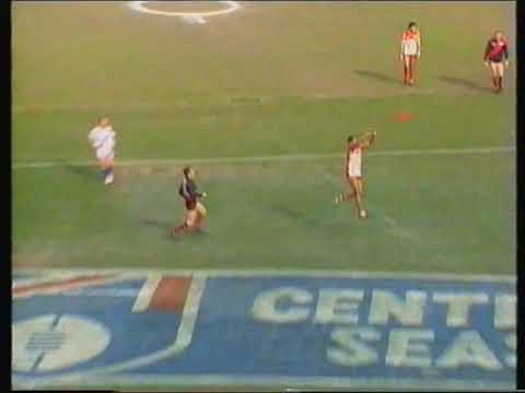 Tony Lockett HUGE HIT on Barry Young AFL Fight/Melee Sydney 1996