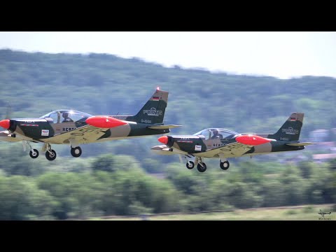 SIAI Marchetti SF-260 synchronous Aerobatic Display Flight ~ Team Niebergall