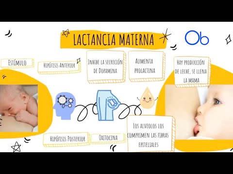 LACTANCIA MATERNA ⭐
