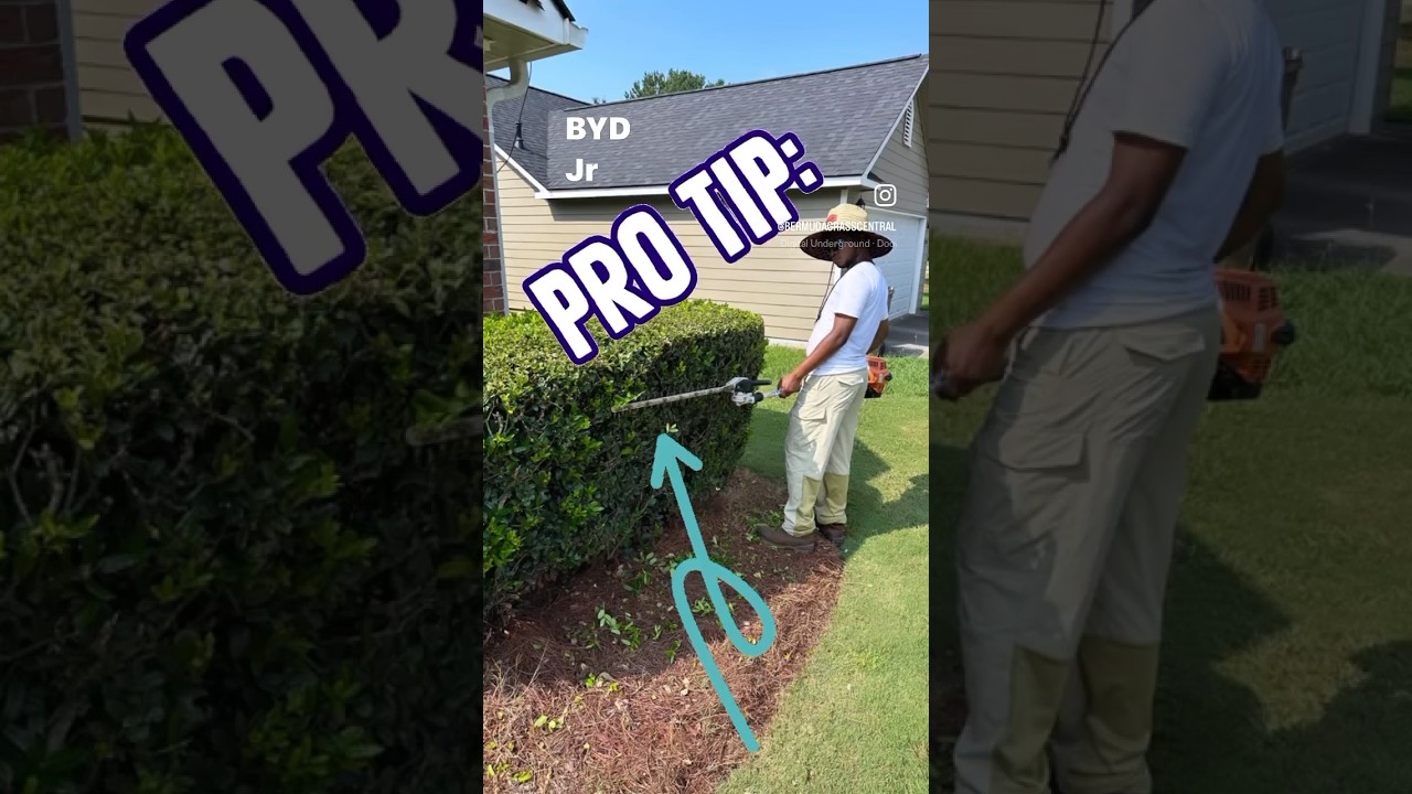 PRO Hedge Trimming TIP