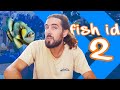 FISH IDENTIFICATION For Scuba Diving Part 2