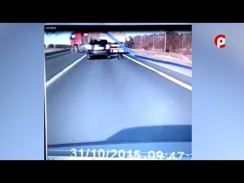 7 человек погибли в ДТП в Вологодской области