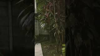 Download lagu Status wa || ST12 - Jangan Pernah Berubah mp3