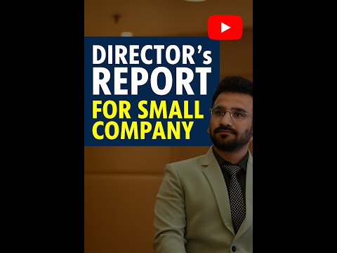 Director's Report of Small Company