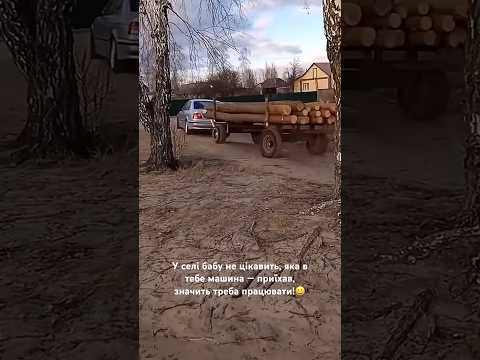 У селі бабу не цікавить, яка в тебе машина — приїхав, значить треба працювати!😀#авто #дрова #бабуся