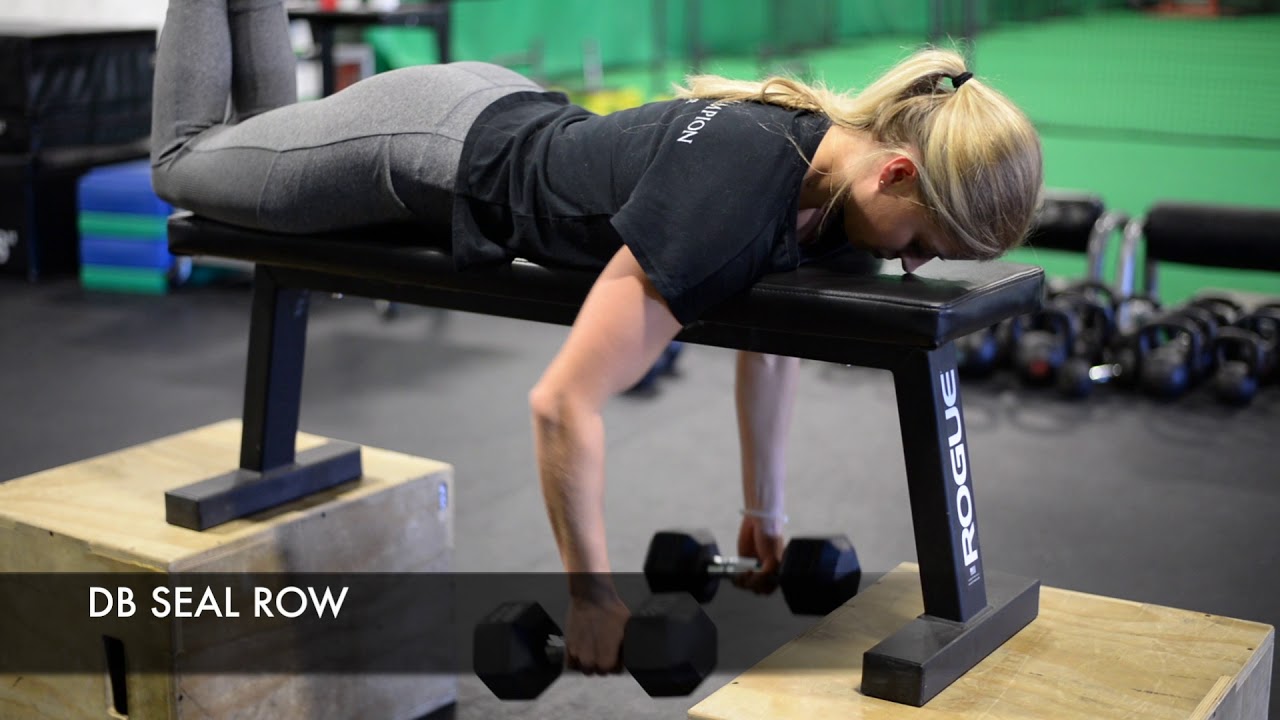 How to Do the Dumbbell Seal Row Ntaifitness Gym Equipment Fitness