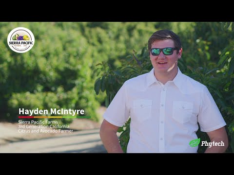 Hayden McIntyre from Sierra Pacific Farms explains how Phytech helps him better manage irrigation logo
