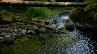 lInda TRUE Official Video