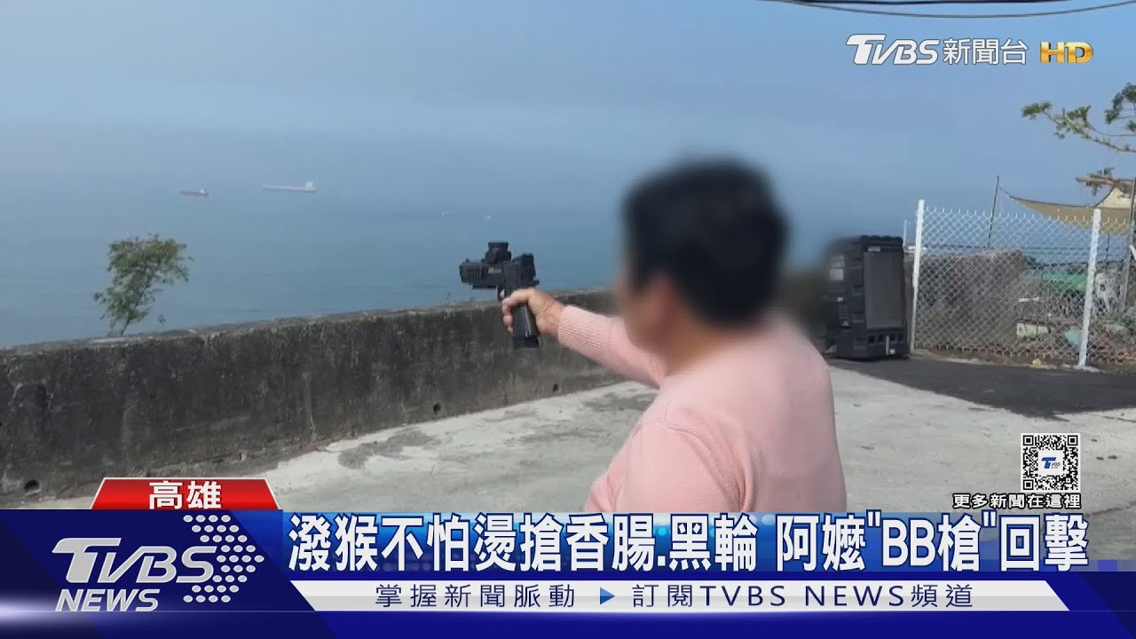柴山下的黑輪攤「射手阿嬤」!開槍趕猴架勢十足