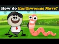 How do Earthworms Move? + more videos | #aumsum #kids #science #education #children