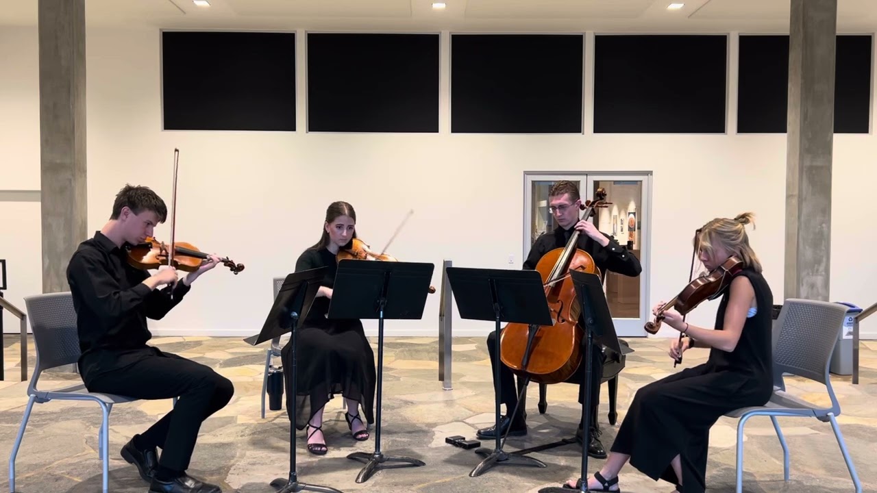 Promotional video thumbnail 2 for Golden Hour Strings