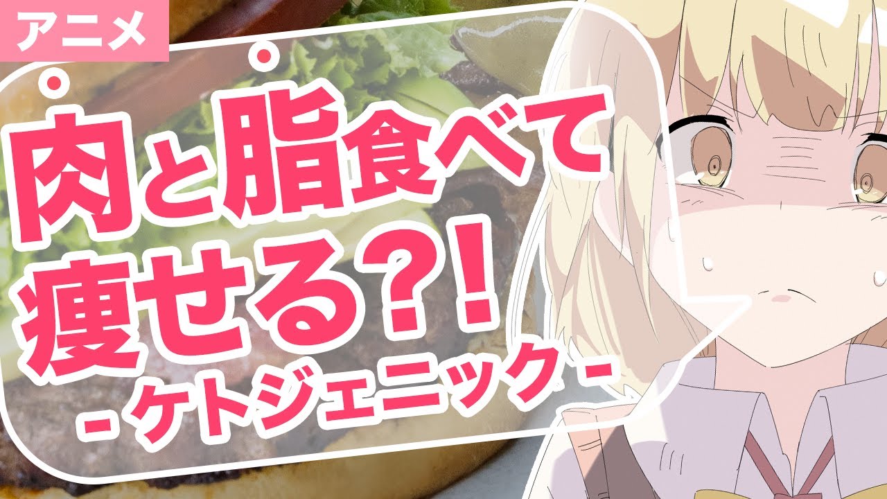 【アニメで解説】ケトジェニックダイエットとは？肉と脂を食べて痩せる！【ダイエット】