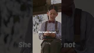 She loves me , she loves me not