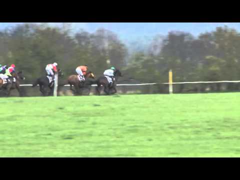 MI, 16. 4. 2016, 4. dostih - Cena společnosti OMA CZ. a.s.