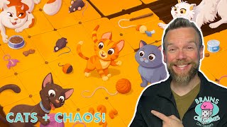Cat in 8 Review | Strategic Chaos in a Tile-Laying Board Game