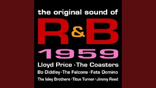 Leave my Kitten Alone