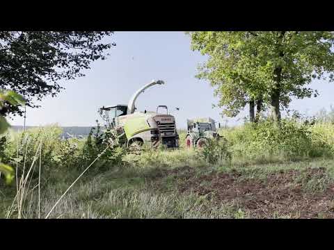 Mais häckseln 2024🌽 - CLAAS Jaguar 860 und 960
